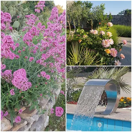 Ana Guest house