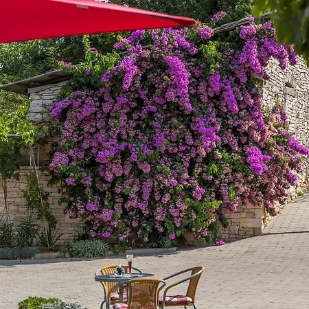 Ana 4*